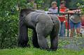 Zoo Schmiding 031